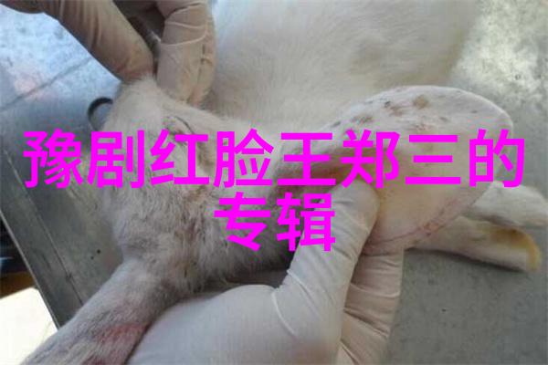 豫剧团导演李利宏与国家一级编剧孟华合作筹备玄奘大师