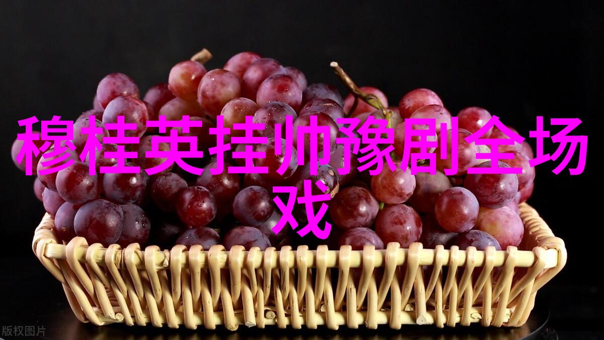 第四届中国老年文化艺术节2014全国豫剧大赛