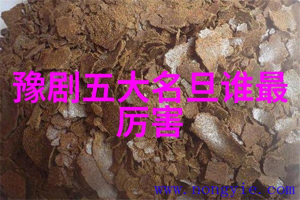 金不换率鹤壁市豫剧团前往演出