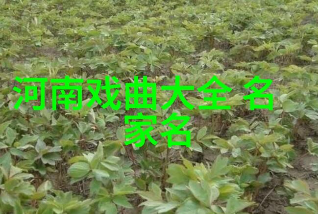 吴路涛