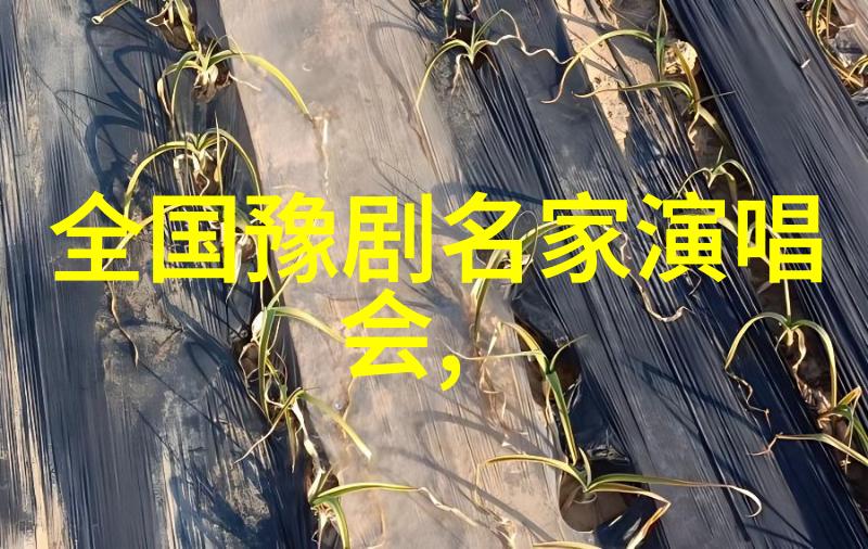 王超斌自己出资20余万元打造慈善豫剧月