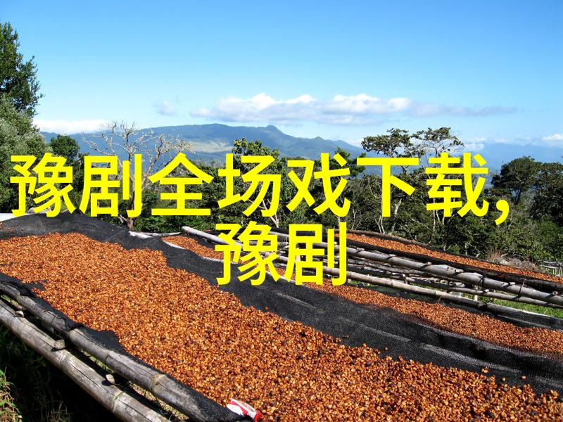 辛艾